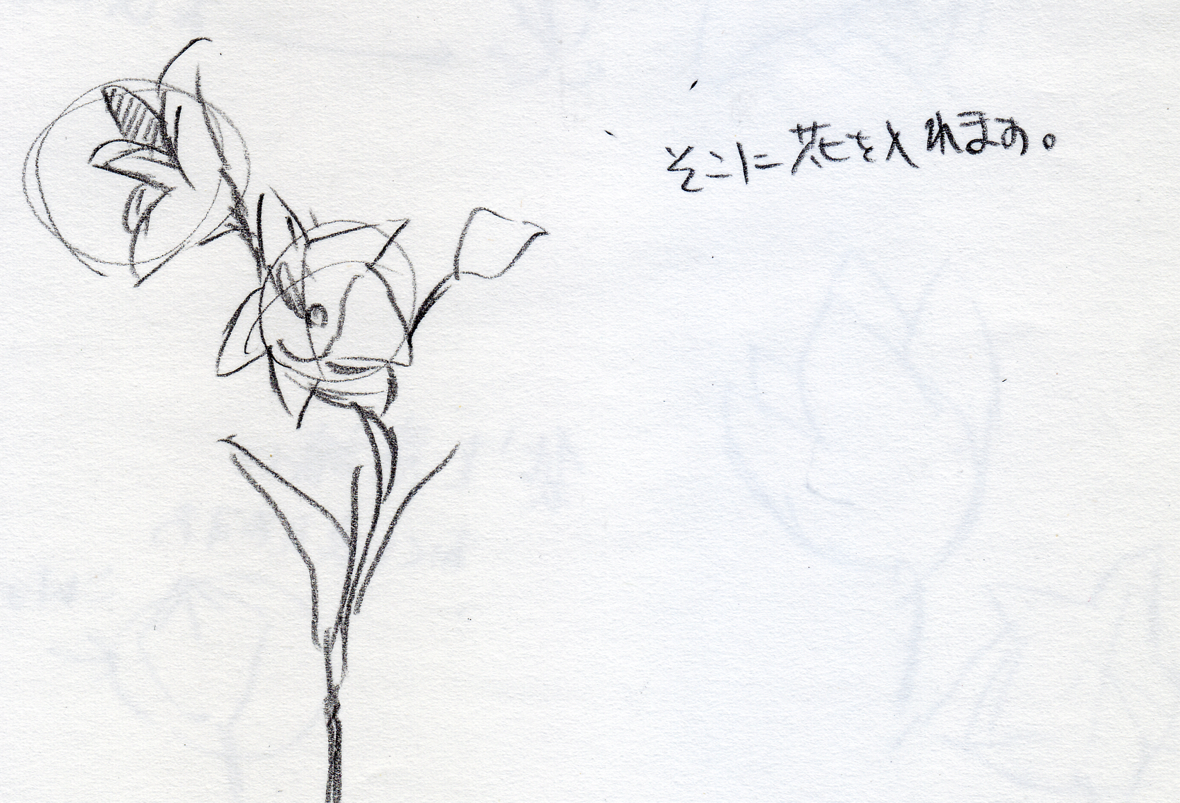 袋をイメージ?一風変わった花「桔梗」の描き方 | イラストの描き方ねっと